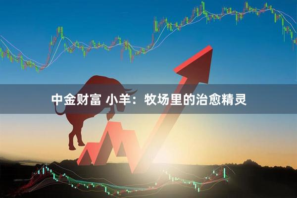 中金财富 小羊：牧场里的治愈精灵