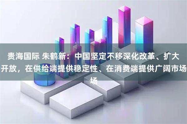 贵海国际 朱鹤新：中国坚定不移深化改革、扩大开放，在供给端提供稳定性、在消费端提供广阔市场