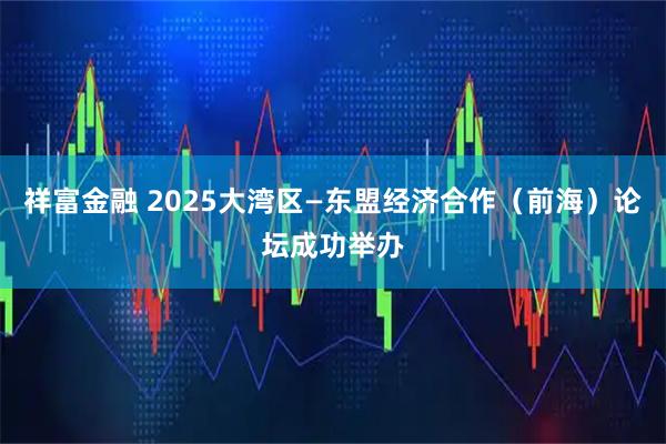 祥富金融 2025大湾区—东盟经济合作（前海）论坛成功举办