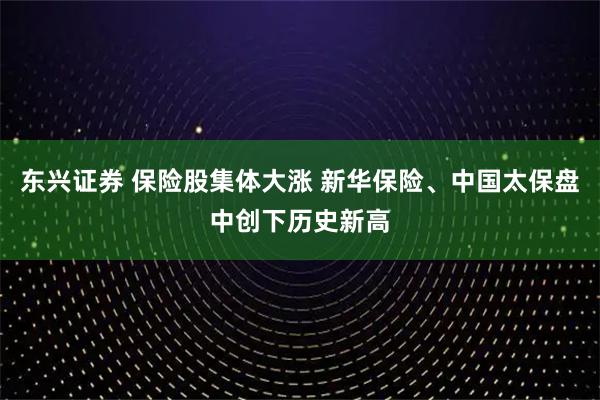 东兴证券 保险股集体大涨 新华保险、中国太保盘中创下历史新高